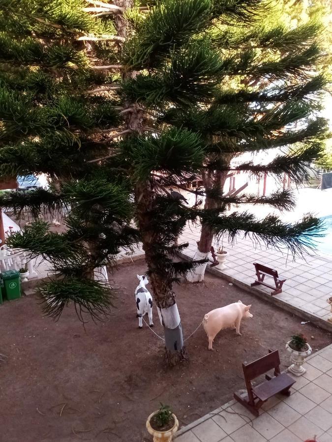 Anastasia Holiday Apartments Pafos Zewnętrze zdjęcie