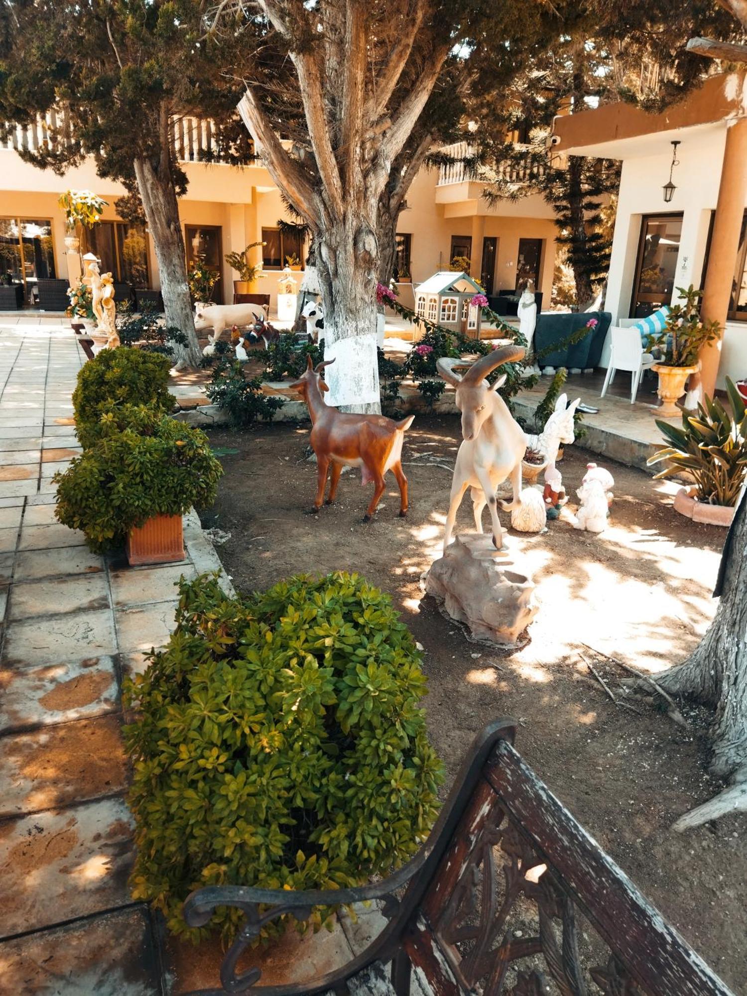 Anastasia Holiday Apartments Pafos Zewnętrze zdjęcie